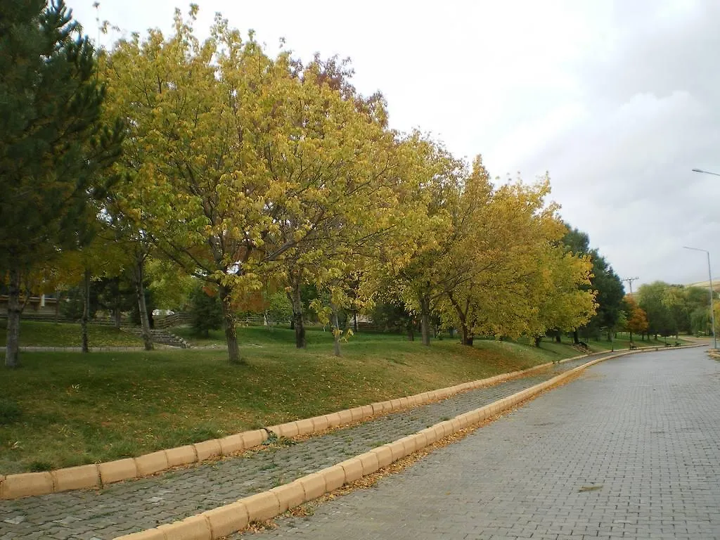 Omer Thermal Hotel Afyonkarahisar 4*,  Turkey