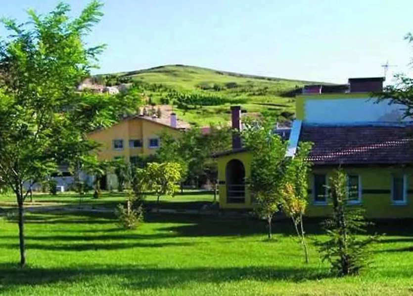 Omer Thermal Hotel Afyonkarahisar 4*,  Turkey